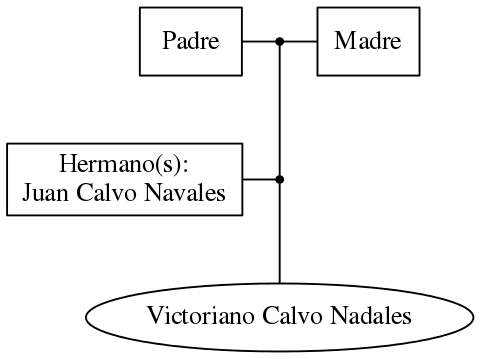 This is a graph with borders and nodes. Maybe there is an Imagemap used so the nodes may be linking to some Pages.