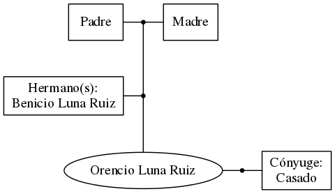 This is a graph with borders and nodes. Maybe there is an Imagemap used so the nodes may be linking to some Pages.