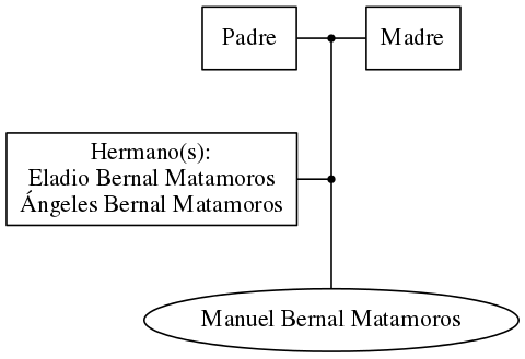 This is a graph with borders and nodes. Maybe there is an Imagemap used so the nodes may be linking to some Pages.