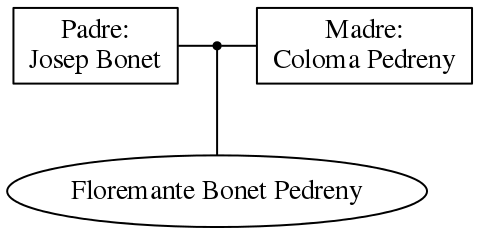 This is a graph with borders and nodes. Maybe there is an Imagemap used so the nodes may be linking to some Pages.