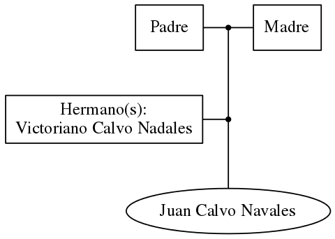 This is a graph with borders and nodes. Maybe there is an Imagemap used so the nodes may be linking to some Pages.