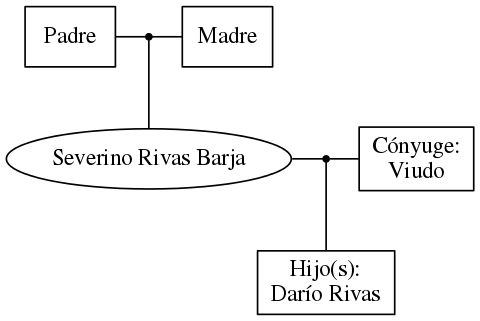 This is a graph with borders and nodes. Maybe there is an Imagemap used so the nodes may be linking to some Pages.