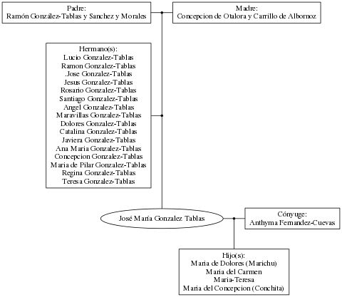 This is a graph with borders and nodes. Maybe there is an Imagemap used so the nodes may be linking to some Pages.