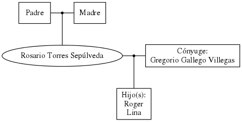 This is a graph with borders and nodes. Maybe there is an Imagemap used so the nodes may be linking to some Pages.