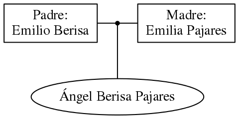 This is a graph with borders and nodes. Maybe there is an Imagemap used so the nodes may be linking to some Pages.