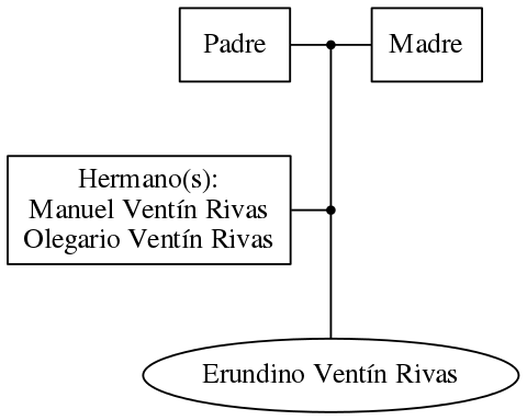 This is a graph with borders and nodes. Maybe there is an Imagemap used so the nodes may be linking to some Pages.