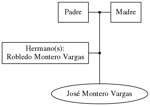 This is a graph with borders and nodes. Maybe there is an Imagemap used so the nodes may be linking to some Pages.