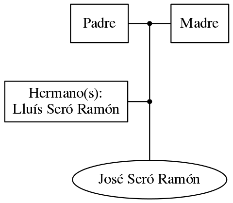 This is a graph with borders and nodes. Maybe there is an Imagemap used so the nodes may be linking to some Pages.