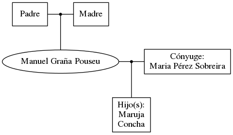 This is a graph with borders and nodes. Maybe there is an Imagemap used so the nodes may be linking to some Pages.