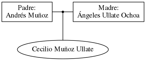 This is a graph with borders and nodes. Maybe there is an Imagemap used so the nodes may be linking to some Pages.