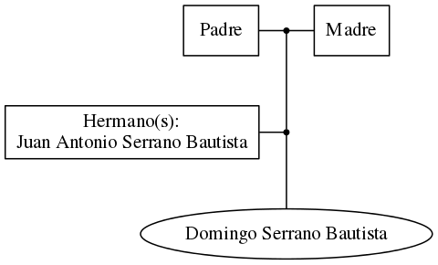 This is a graph with borders and nodes. Maybe there is an Imagemap used so the nodes may be linking to some Pages.