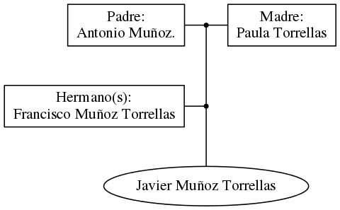 This is a graph with borders and nodes. Maybe there is an Imagemap used so the nodes may be linking to some Pages.