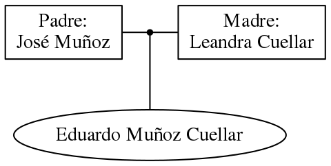 This is a graph with borders and nodes. Maybe there is an Imagemap used so the nodes may be linking to some Pages.