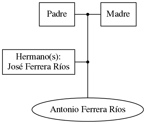 This is a graph with borders and nodes. Maybe there is an Imagemap used so the nodes may be linking to some Pages.