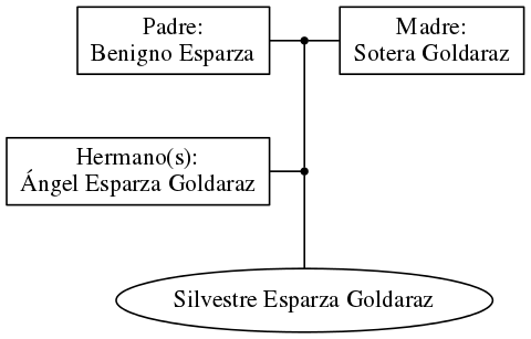 This is a graph with borders and nodes. Maybe there is an Imagemap used so the nodes may be linking to some Pages.