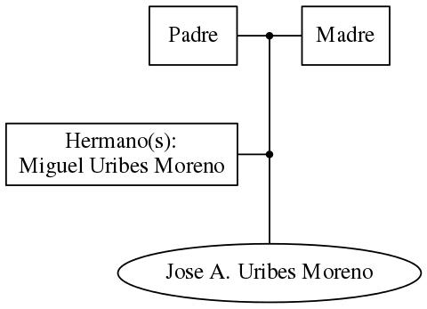 This is a graph with borders and nodes. Maybe there is an Imagemap used so the nodes may be linking to some Pages.