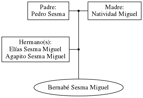 This is a graph with borders and nodes. Maybe there is an Imagemap used so the nodes may be linking to some Pages.