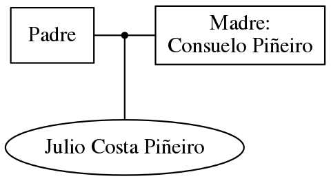 This is a graph with borders and nodes. Maybe there is an Imagemap used so the nodes may be linking to some Pages.