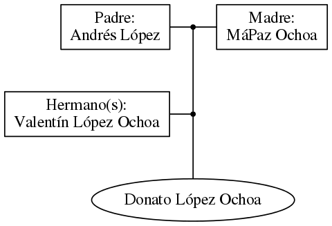 This is a graph with borders and nodes. Maybe there is an Imagemap used so the nodes may be linking to some Pages.