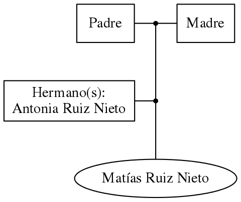 This is a graph with borders and nodes. Maybe there is an Imagemap used so the nodes may be linking to some Pages.