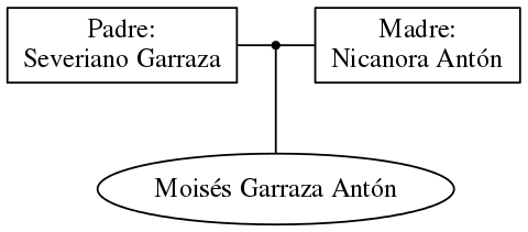 This is a graph with borders and nodes. Maybe there is an Imagemap used so the nodes may be linking to some Pages.