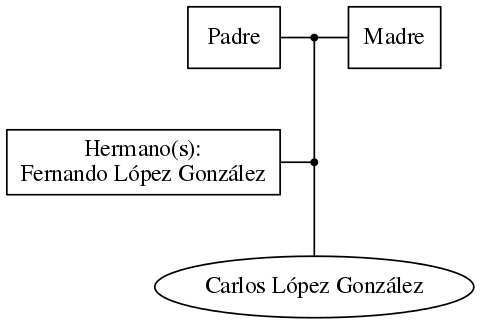 This is a graph with borders and nodes. Maybe there is an Imagemap used so the nodes may be linking to some Pages.