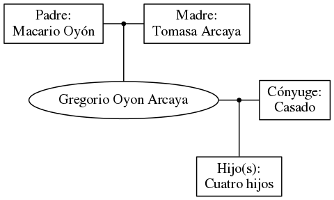 This is a graph with borders and nodes. Maybe there is an Imagemap used so the nodes may be linking to some Pages.