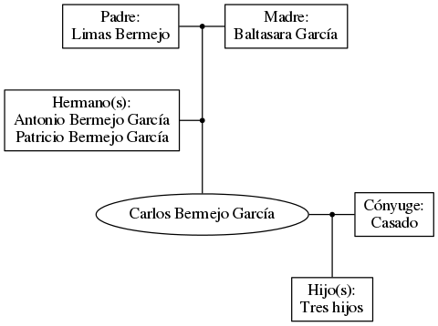 This is a graph with borders and nodes. Maybe there is an Imagemap used so the nodes may be linking to some Pages.