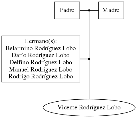 This is a graph with borders and nodes. Maybe there is an Imagemap used so the nodes may be linking to some Pages.