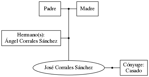 This is a graph with borders and nodes. Maybe there is an Imagemap used so the nodes may be linking to some Pages.