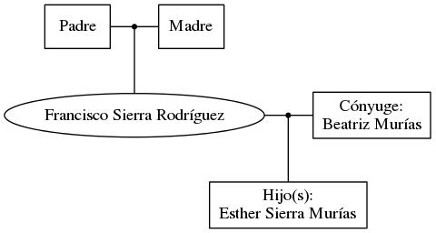 This is a graph with borders and nodes. Maybe there is an Imagemap used so the nodes may be linking to some Pages.