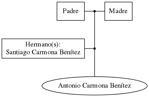 This is a graph with borders and nodes. Maybe there is an Imagemap used so the nodes may be linking to some Pages.