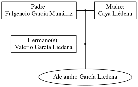 This is a graph with borders and nodes. Maybe there is an Imagemap used so the nodes may be linking to some Pages.