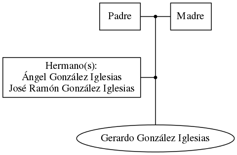 This is a graph with borders and nodes. Maybe there is an Imagemap used so the nodes may be linking to some Pages.