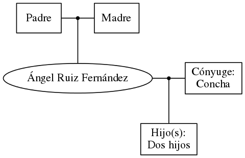 This is a graph with borders and nodes. Maybe there is an Imagemap used so the nodes may be linking to some Pages.