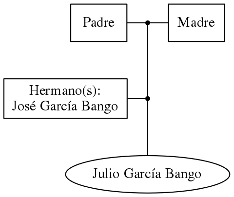 This is a graph with borders and nodes. Maybe there is an Imagemap used so the nodes may be linking to some Pages.