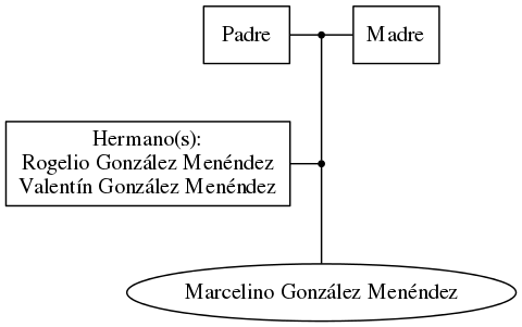 This is a graph with borders and nodes. Maybe there is an Imagemap used so the nodes may be linking to some Pages.