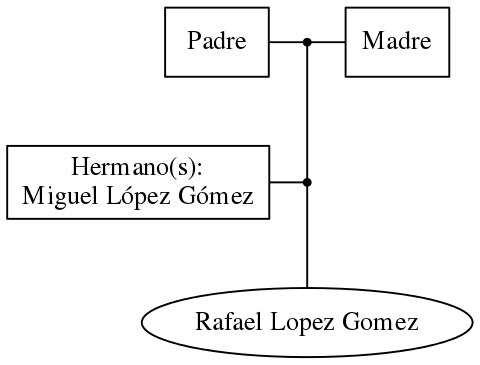 This is a graph with borders and nodes. Maybe there is an Imagemap used so the nodes may be linking to some Pages.