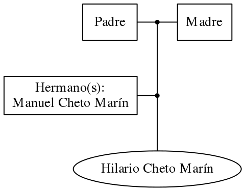 This is a graph with borders and nodes. Maybe there is an Imagemap used so the nodes may be linking to some Pages.