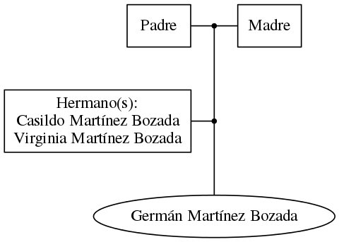 This is a graph with borders and nodes. Maybe there is an Imagemap used so the nodes may be linking to some Pages.