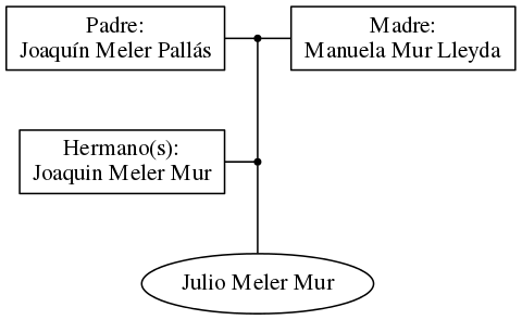 This is a graph with borders and nodes. Maybe there is an Imagemap used so the nodes may be linking to some Pages.