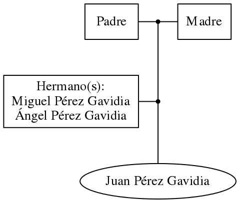 This is a graph with borders and nodes. Maybe there is an Imagemap used so the nodes may be linking to some Pages.