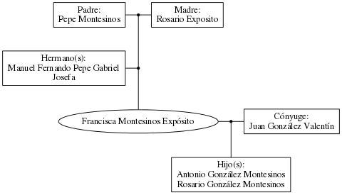 This is a graph with borders and nodes. Maybe there is an Imagemap used so the nodes may be linking to some Pages.