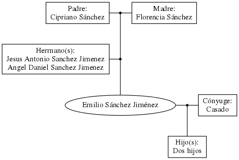 This is a graph with borders and nodes. Maybe there is an Imagemap used so the nodes may be linking to some Pages.