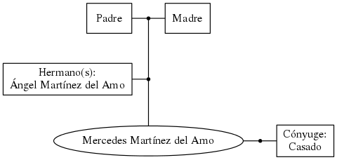 This is a graph with borders and nodes. Maybe there is an Imagemap used so the nodes may be linking to some Pages.