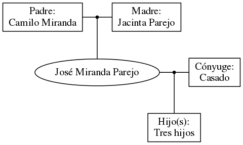 This is a graph with borders and nodes. Maybe there is an Imagemap used so the nodes may be linking to some Pages.