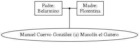 This is a graph with borders and nodes. Maybe there is an Imagemap used so the nodes may be linking to some Pages.