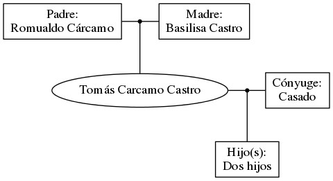 This is a graph with borders and nodes. Maybe there is an Imagemap used so the nodes may be linking to some Pages.