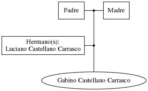 This is a graph with borders and nodes. Maybe there is an Imagemap used so the nodes may be linking to some Pages.