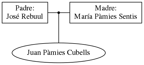 This is a graph with borders and nodes. Maybe there is an Imagemap used so the nodes may be linking to some Pages.